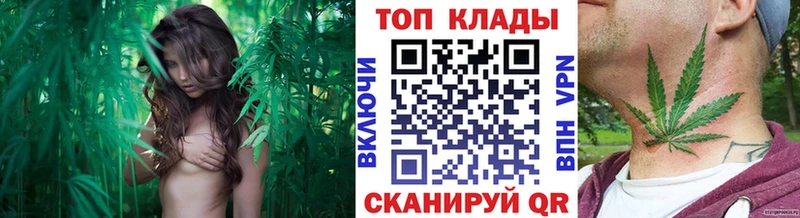 Сколько стоит Александровск-Сахалинский Alpha PVP  БУТИРАТ  Меф мяу мяу  ГАШ  Кокаин 