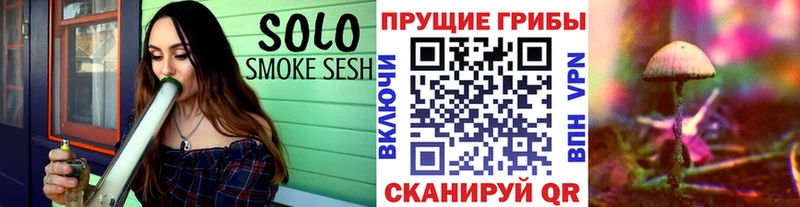 Псилоцибиновые грибы Magic Shrooms где можно купить наркотик Александровск-Сахалинский